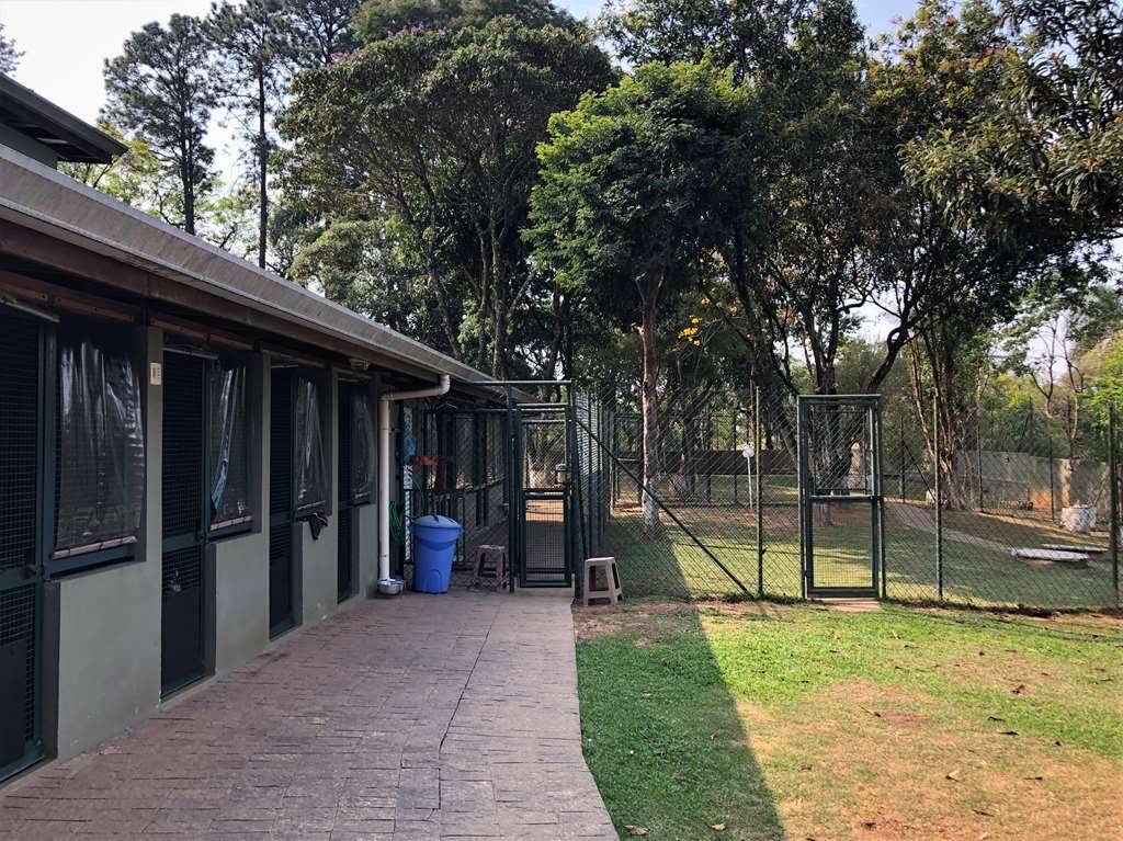 Casa de Condomínio à venda com 4 quartos, 800m² - Foto 29