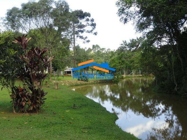 Fazenda à venda com 8 quartos, 4300m² - Foto 16