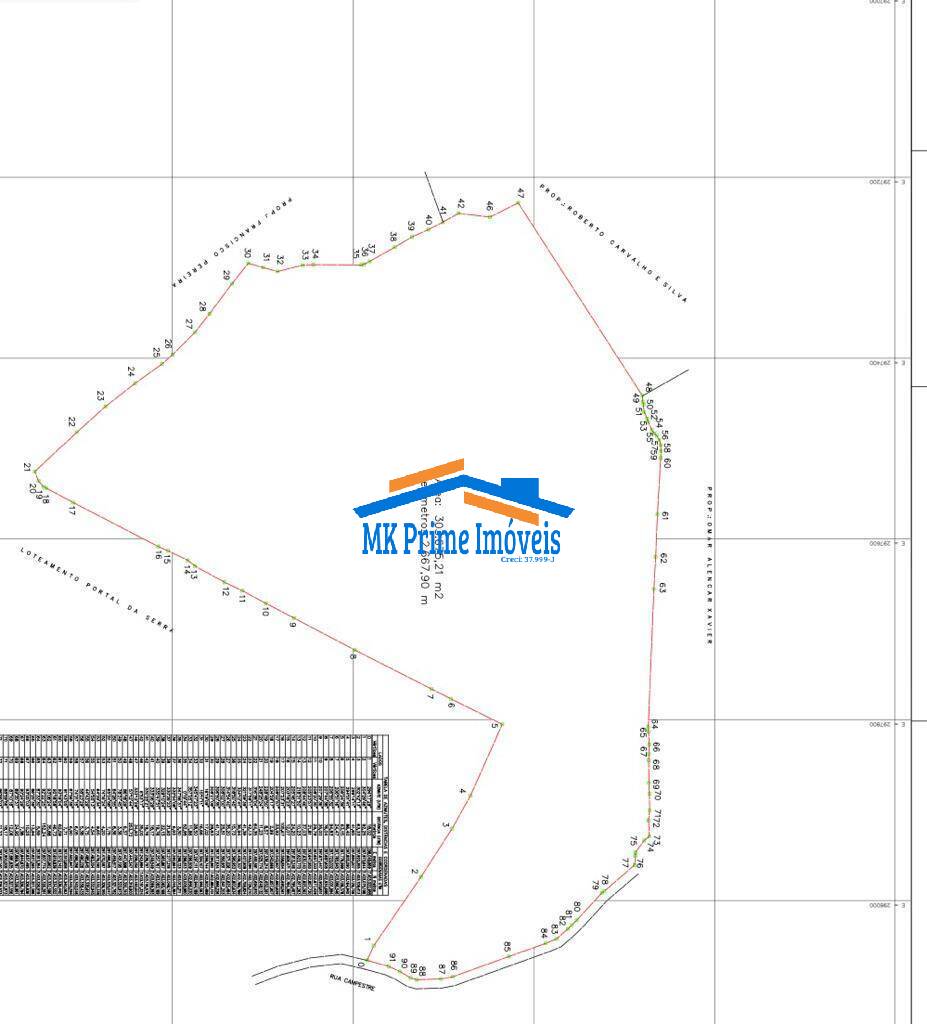 Terreno à venda, 295781m² - Foto 3