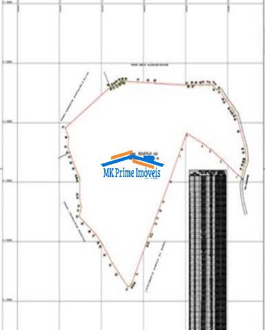 Terreno à venda, 295781m² - Foto 8