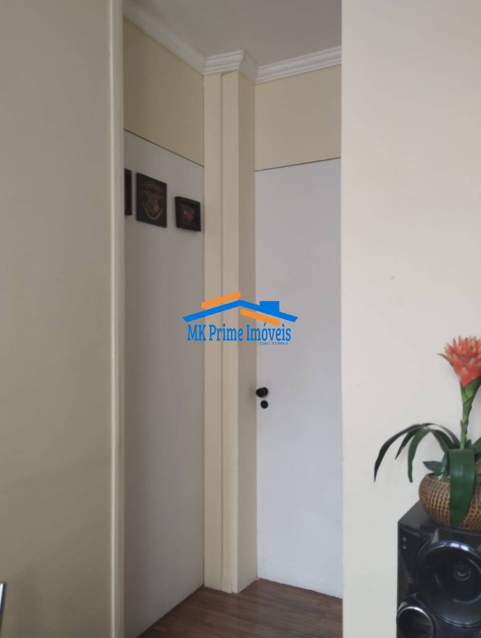 Apartamento à venda com 2 quartos, 50m² - Foto 13