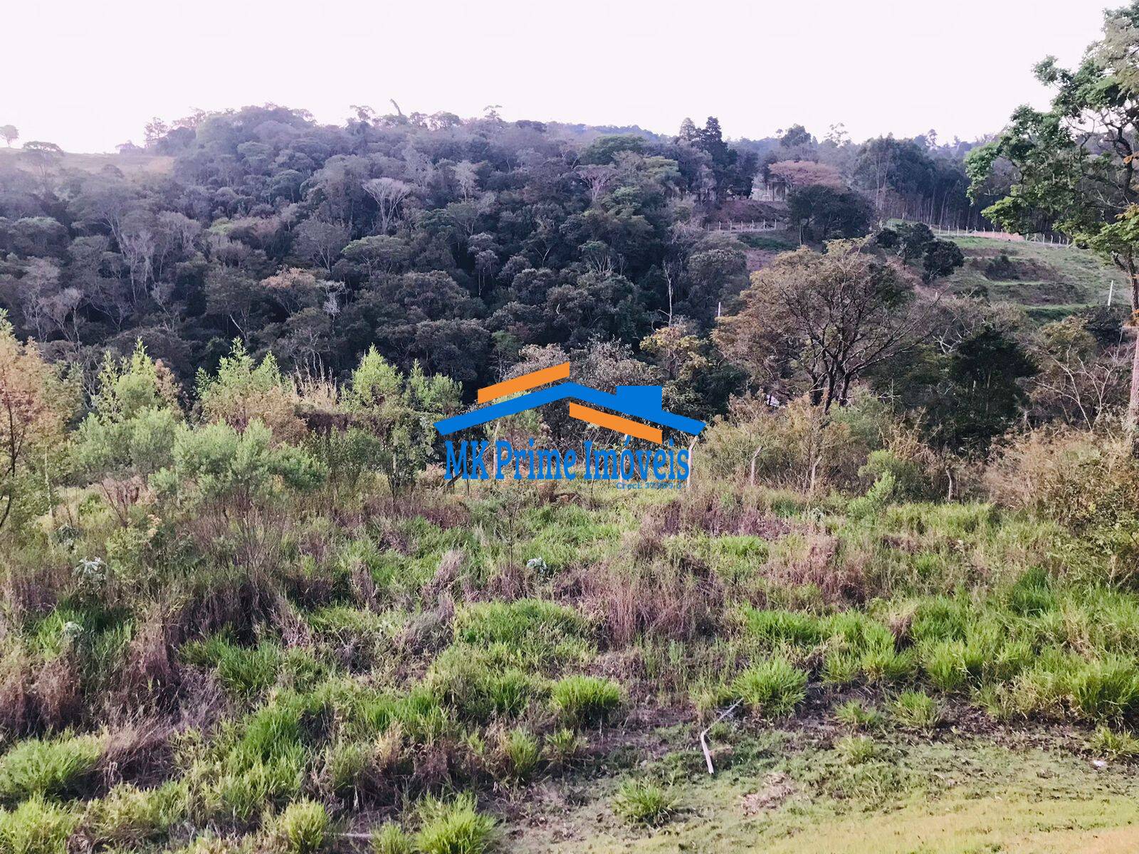 Fazenda à venda com 3 quartos, 10000m² - Foto 6