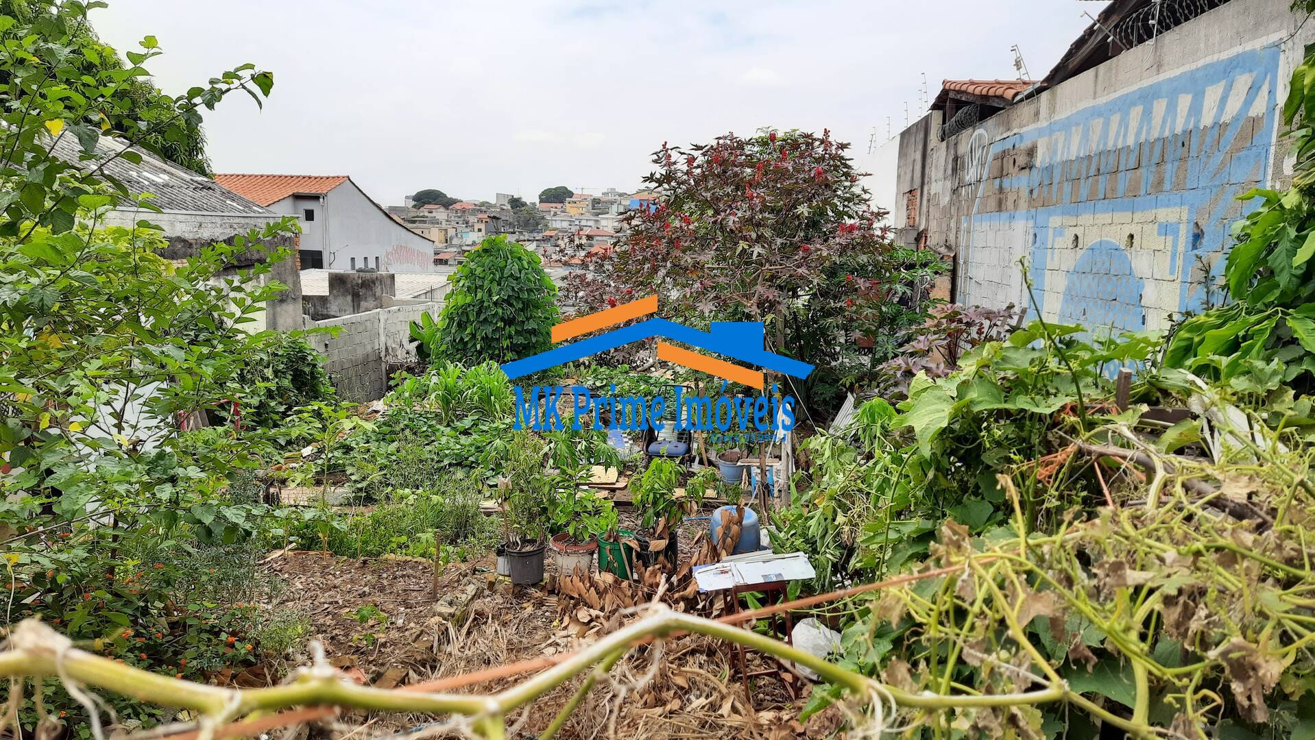 Terreno à venda, 250m² - Foto 3