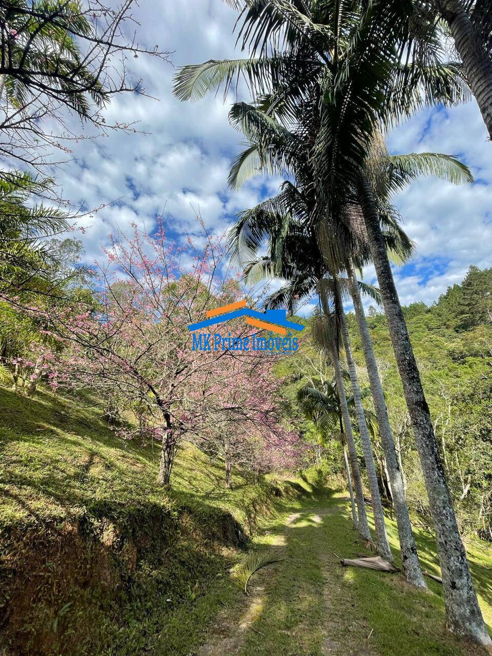 Fazenda à venda com 8 quartos, 120000m² - Foto 22