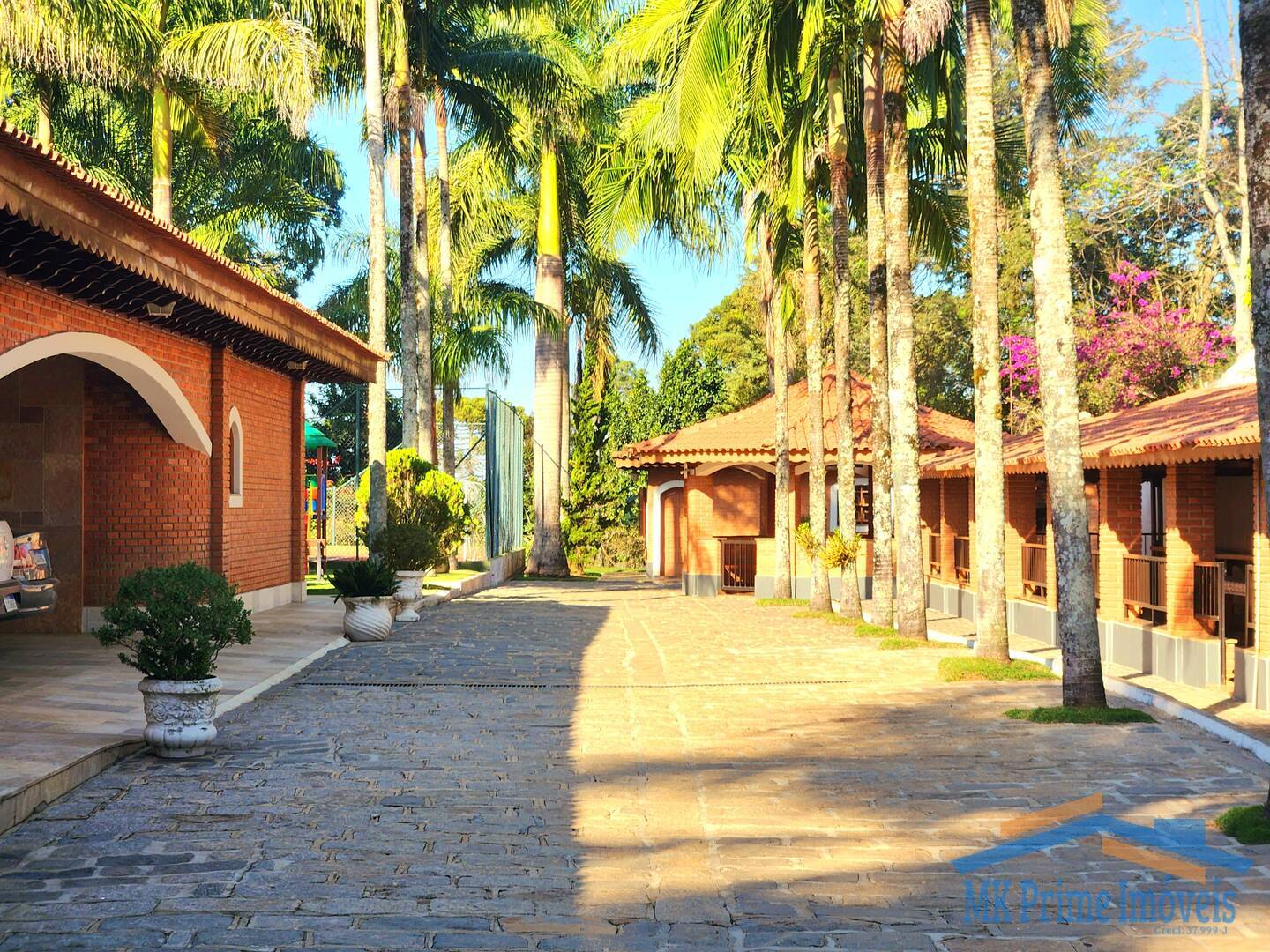 Fazenda à venda com 6 quartos, 1546m² - Foto 6