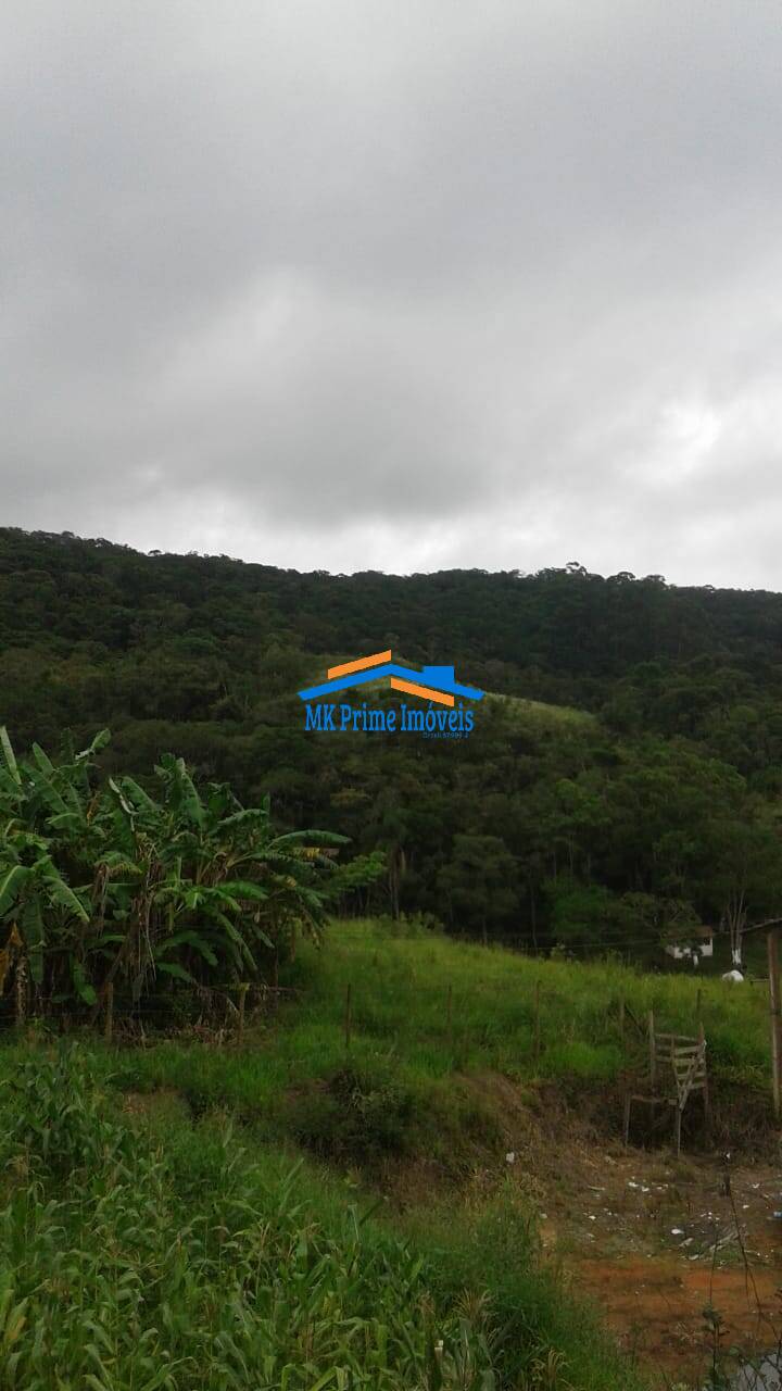 Fazenda à venda com 2 quartos, 500m² - Foto 2