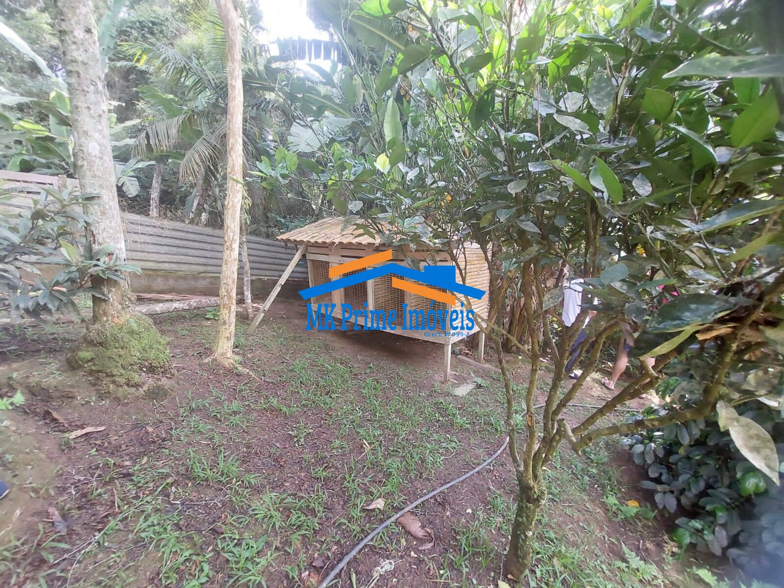 Fazenda à venda com 3 quartos, 150m² - Foto 6