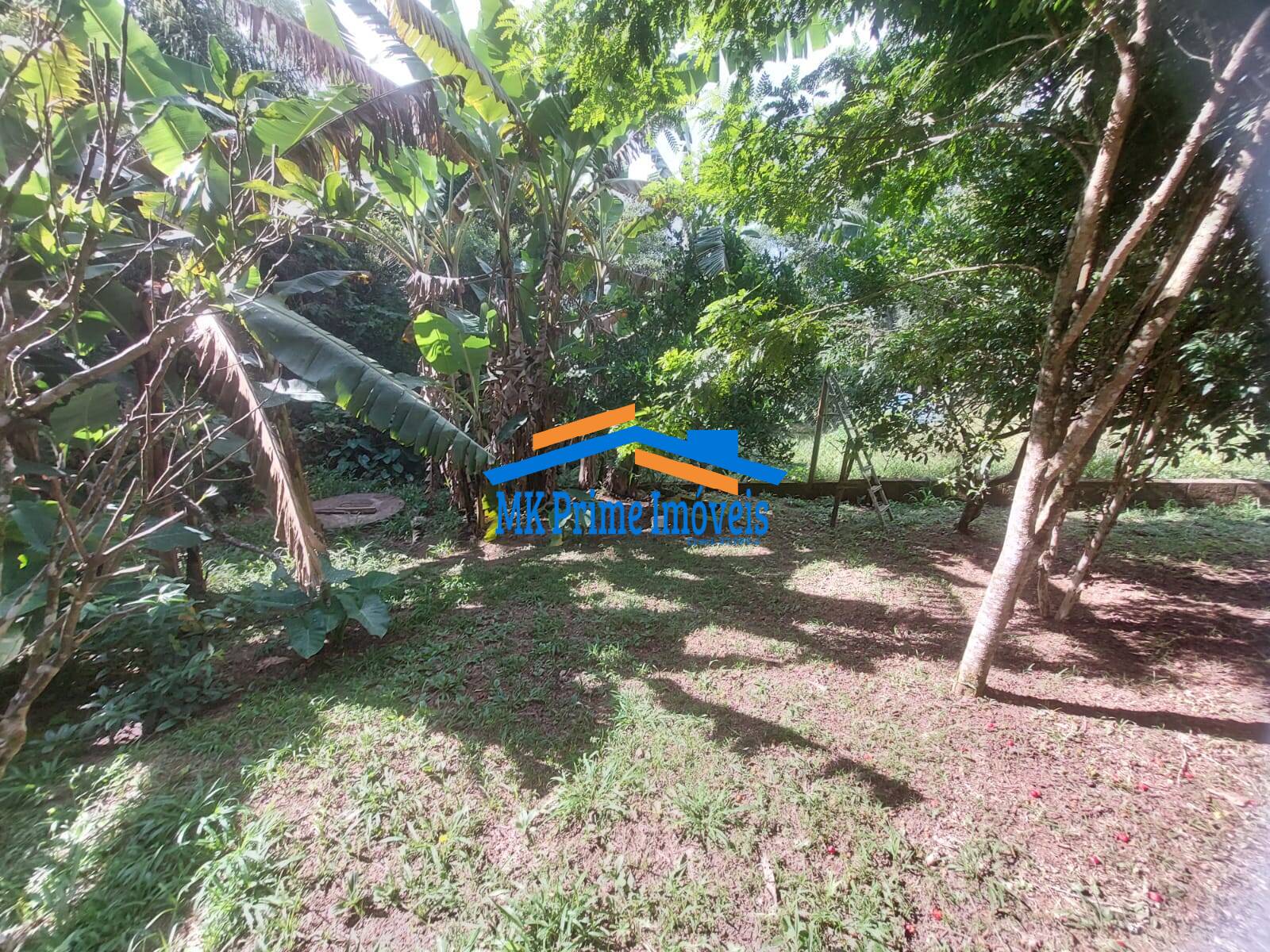 Fazenda à venda com 3 quartos, 150m² - Foto 1